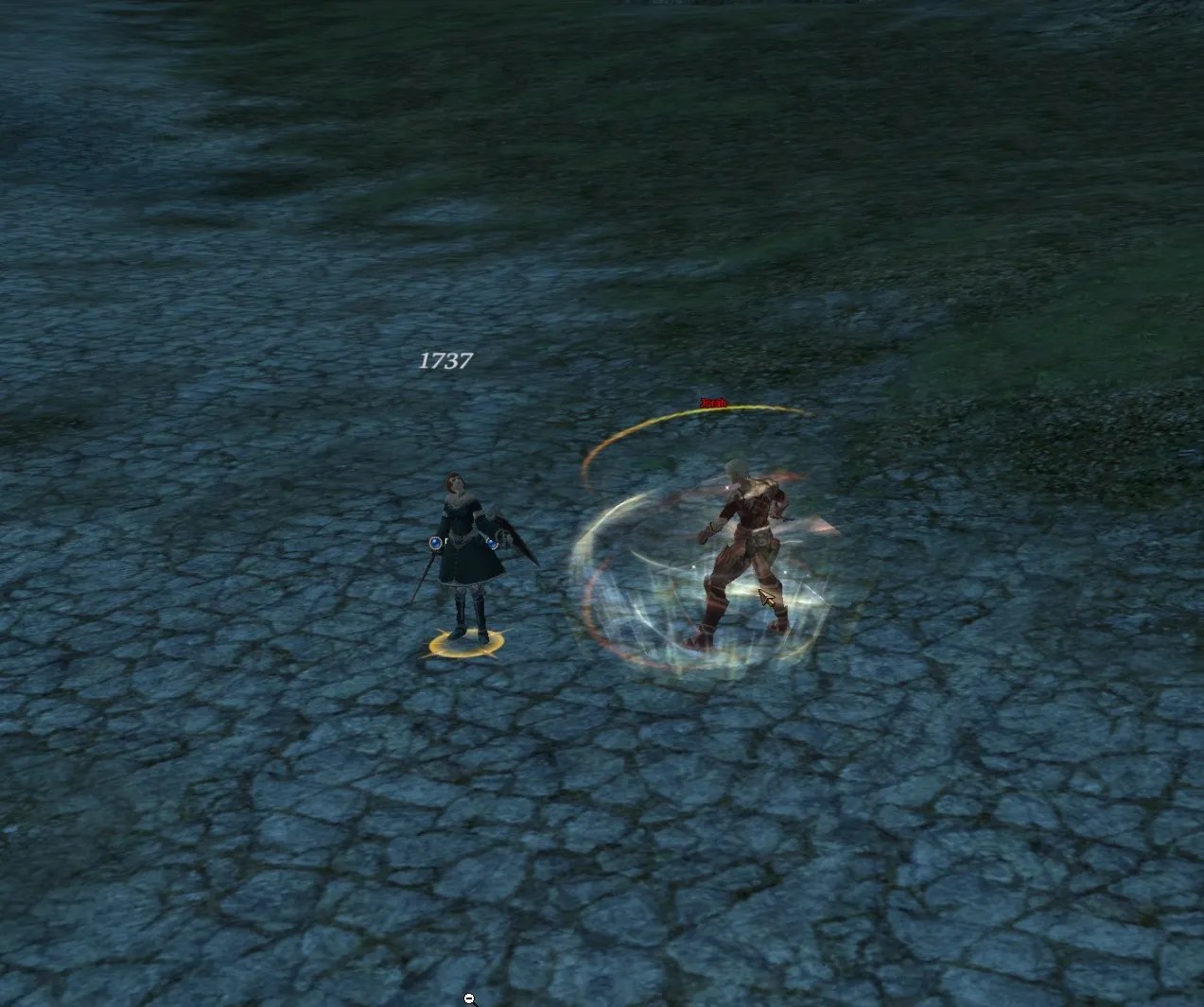 Two characters fighting, one with a red name from carrying karma