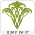 Clase Evas Saint