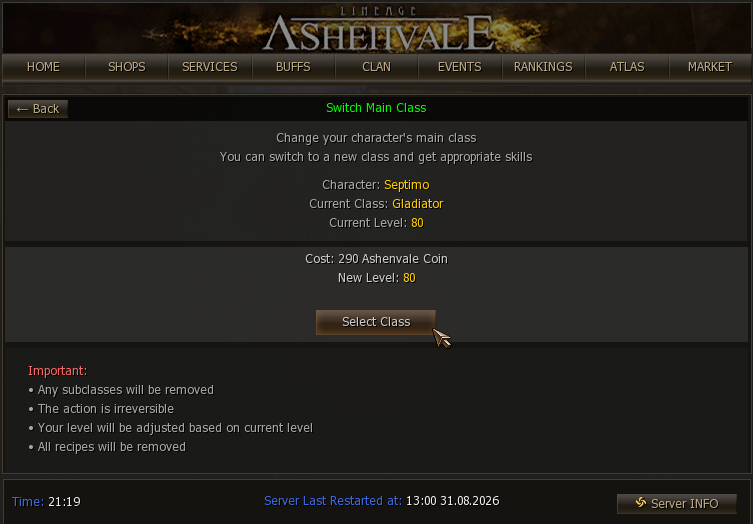 Service window: character, current class, cost and resulting level