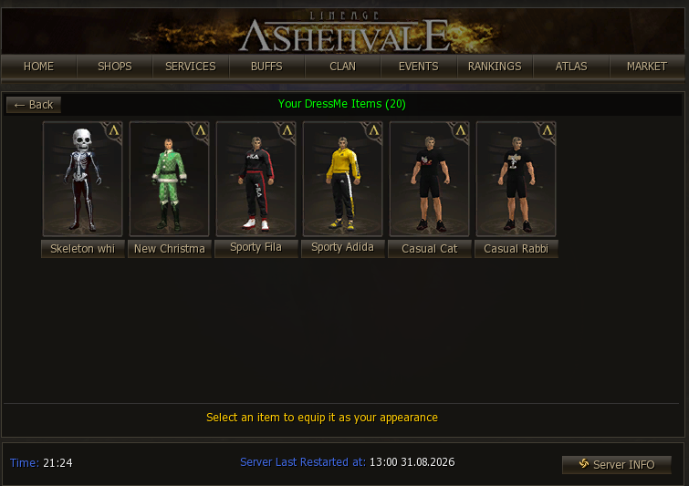 Armor collection with the purchased skins and the clean button